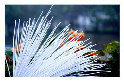 雷火·竞技(中国)-全球领先的电竞赛事平台