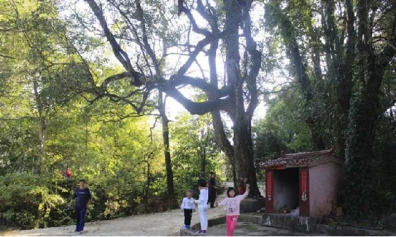 雷火·竞技(中国)-全球领先的电竞赛事平台