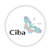 陶瓷膜相助同伴：：：汽巴精化